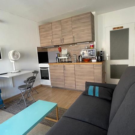 Apartament Studio Plein Centre, Calme, Parking Inclus, Piscine Et Gardien Grenoble Zewnętrze zdjęcie